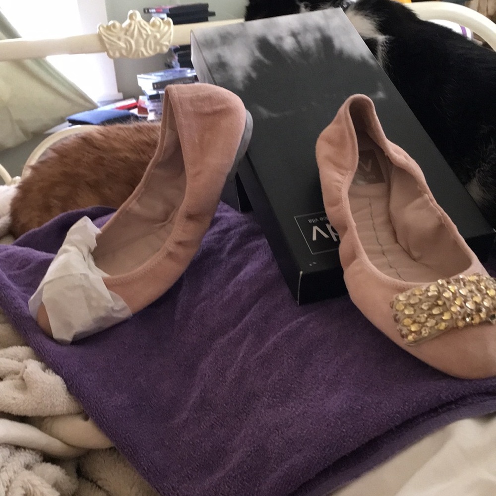 I am selling a pair of Dolce Vita ballerina flats.